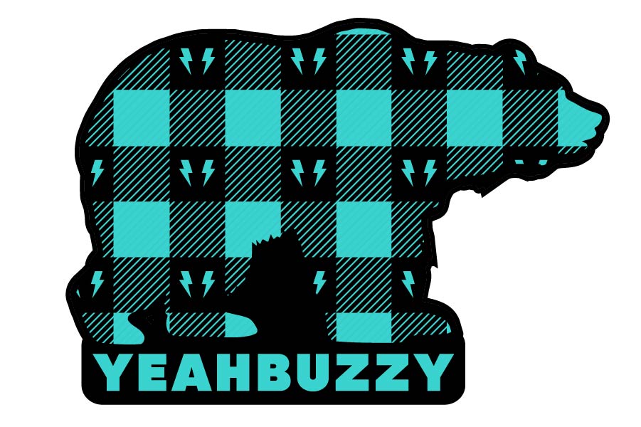 Bear - Plaid Sticker