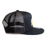 Bear Gradient Cap - High-Profile